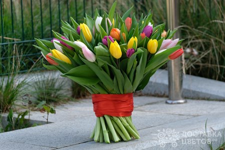 Букет из 51 тюльпана "Разноцветные тюльпаны"